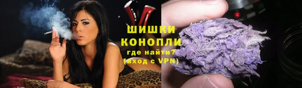 молекула духа Беломорск