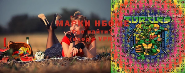 молекула духа Беломорск